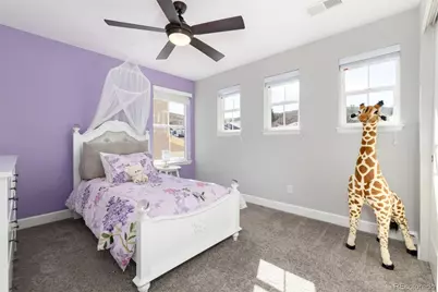 3112 Starry Night Loop, Castle Rock, CO 80109 - Photo 29