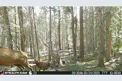 Lot 3427 Grojean Drive, Fort Garland, CO 81133 - Photo 15