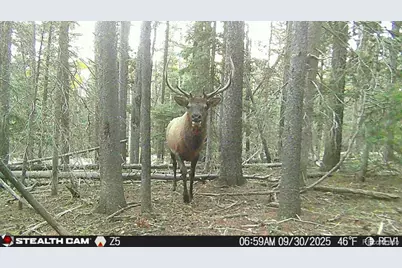 Lot 3427 Grojean Drive, Fort Garland, CO 81133 - Photo 1