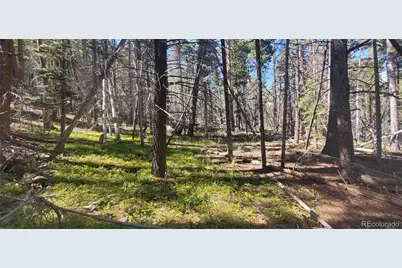 Lot 3427 Grojean Drive, Fort Garland, CO 81133 - Photo 9