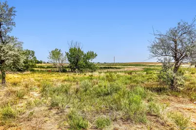 6771 Steven Street, Windsor, CO 80550 - Photo 39