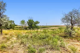 6771 Steven St, Windsor, CO 80550 - Photo 39