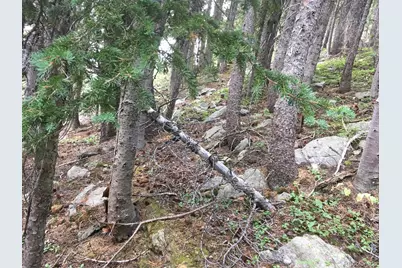 Nebraska Circle, Idaho Springs, CO 80452 - Photo 13