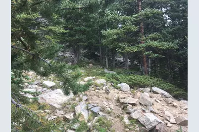 Nebraska Circle, Idaho Springs, CO 80452 - Photo 9