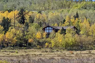 174 Skid Ct, Fairplay, CO 80440 - Photo 33