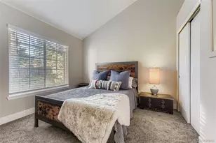 6835 S Webster St, Littleton, CO 80128 - Photo 19