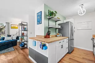 2225 S Jasmine St, Denver, CO 80222 - Photo 11