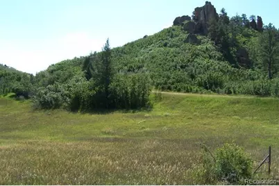 5905 Country Club Drive, Larkspur, CO 80118 - Photo 7