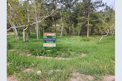 Buena Vista, Palmer Lake, CO 80133 - Photo 3