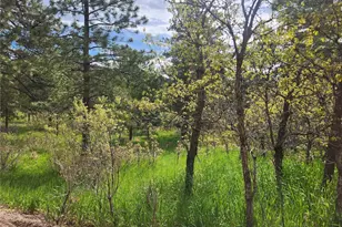 Buena Vista, Palmer Lake, CO 80133 - Photo 1