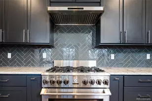 335 N Josephine Street, Denver, CO 80206 - Photo 9