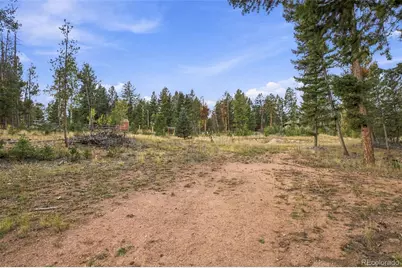 27687 Pine Grove Trail, Conifer, CO 80433 - Photo 19
