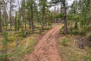 27687 Pine Grove Trail, Conifer, CO 80433 - Photo 1