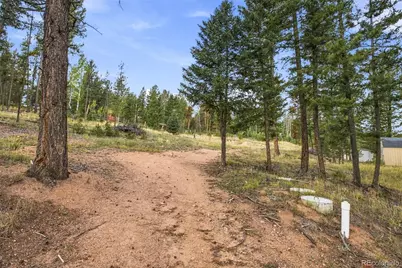 27687 Pine Grove Trail, Conifer, CO 80433 - Photo 9