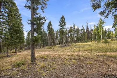 27687 Pine Grove Trail, Conifer, CO 80433 - Photo 31