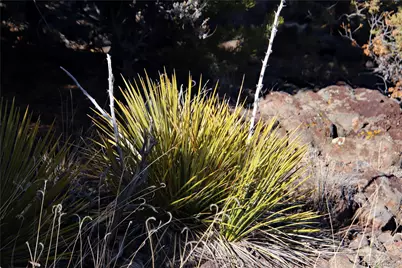 Lot 67 Alta Mesa Drive, San Luis, CO 81152 - Photo 23