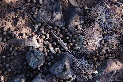 Lot 67 Alta Mesa Drive, San Luis, CO 81152 - Photo 29