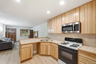 20907 Horse-Bit Way, Morrison, CO 80465 - Photo 13
