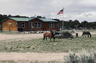 3130 Elk Park Rd, San Luis, CO 81152 - Photo 3