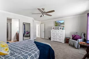 1375 Morningview Ln, Castle Rock, CO 80109 - Photo 23