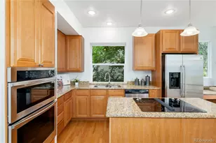 71 Sylvestor Pl, Highlands Ranch, CO 80129 - Photo 25