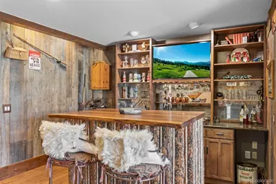 33208 Alta Vista Drive, Evergreen, CO 80439 - Photo 33