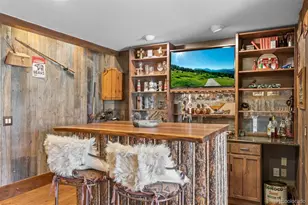 33208 Alta Vista Dr, Evergreen, CO 80439 - Photo 33