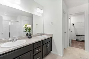 3529 Booth Falls Dr, Loveland, CO 80538 - Photo 21