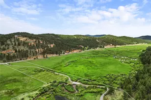 3763 Co Rd 43, Bailey, CO 80421 - Photo 9