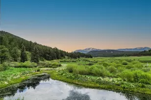 3763 Co Rd 43, Bailey, CO 80421 - Photo 13