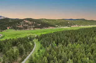 3763 Co Rd 43, Bailey, CO 80421 - Photo 35