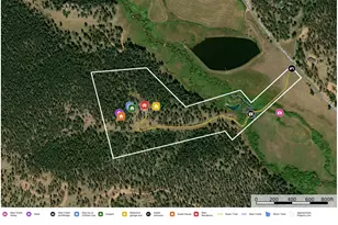 3763 Co Rd 43, Bailey, CO 80421 - Photo 37