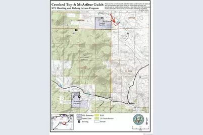 3763 County Road 43, Bailey, CO 80421 - Photo 39