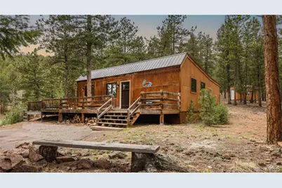 3763 County Road 43, Bailey, CO 80421 - Photo 3