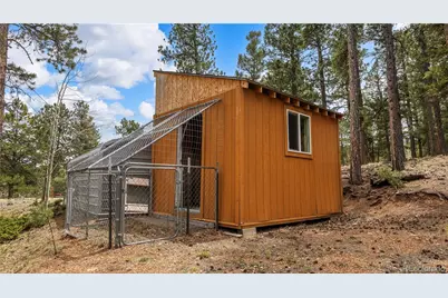 3763 County Road 43, Bailey, CO 80421 - Photo 33