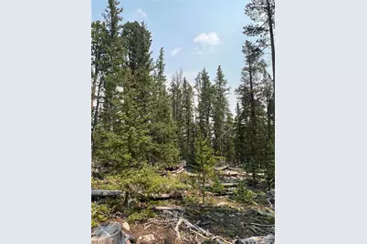 914 Bobcat Lane, Fairplay, CO 80440 - Photo 19
