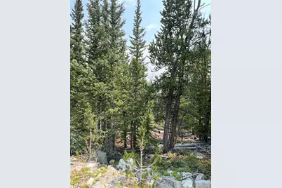 914 Bobcat Lane, Fairplay, CO 80440 - Photo 9