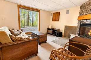 203 Lone Hand Way, Breckenridge, CO 80424 - Photo 23