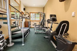 203 Lone Hand Way, Breckenridge, CO 80424 - Photo 21