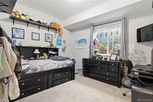 1183 Brocade Dr, Highlands Ranch, CO 80126 - Photo 39