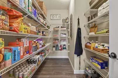 6180 Leilani Drive, Castle Rock, CO 80108 - Photo 15