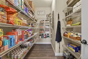 6180 Leilani Dr, Castle Rock, CO 80108 - Photo 15