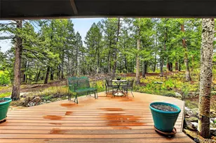 28221 Bonanza Dr, Evergreen, CO 80439 - Photo 43