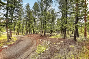 28221 Bonanza Dr, Evergreen, CO 80439 - Photo 47