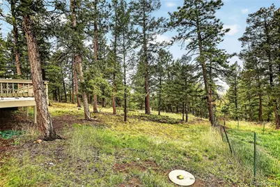 28221 Bonanza Drive, Evergreen, CO 80439 - Photo 41