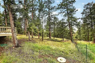 28221 Bonanza Dr, Evergreen, CO 80439 - Photo 41