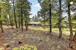 28221 Bonanza Dr, Evergreen, CO 80439 - Photo 45