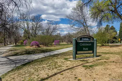 1130 N Lafayette Street #5, Denver, CO 80218 - Photo 23