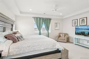 3197 Cool Meadow Pl, Castle Rock, CO 80104 - Photo 29