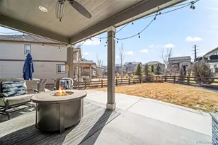 11195 Cinch Wy, Parker, CO 80134 - Photo 39